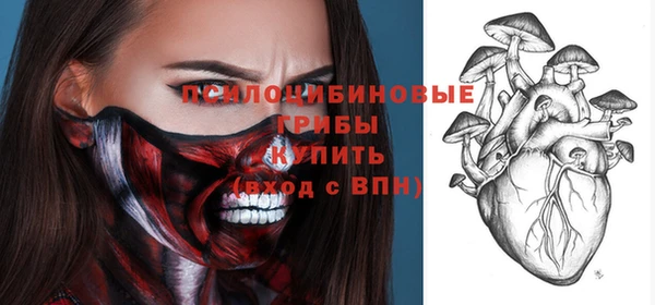 эйфоретик Пролетарск