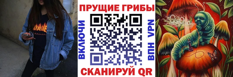 гидра ССЫЛКА  сайты даркнета какой сайт  Галлюциногенные грибы MAGIC MUSHROOMS  Андреаполь 